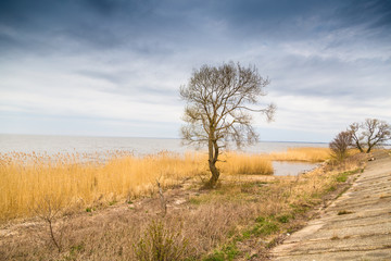 beautiful summer landscape