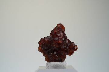Granat, Rot, Schwimmer, Kristall, Brasilien, Edelstein, 