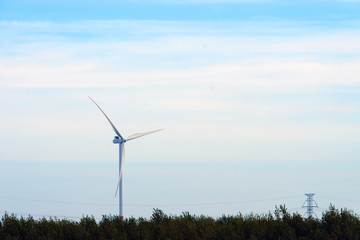 Alternative electricity generator