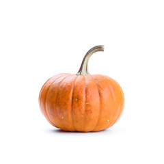 Pumpkin on white background isolated. Food photography