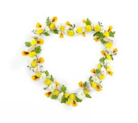 Flowers composition. Heart symbol made of various yellow flowers on white background. Flat lay, top view