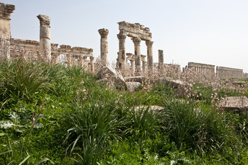 Ruins of the ancient dead city Apamea (Afamia). Syria before the war