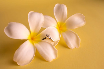 Fototapeta na wymiar Elegant diamond engagement ring with tropical white flowers (plumeria) on yellow background. Concept for greeting card, postcard. Copy space.