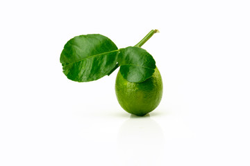 Lemon Fruit with slices isolated on white background