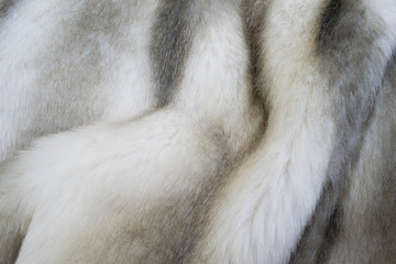 Background. Black polar fox, gray, white fur. Close up of a folosa. Animal hair. Fur coat. Natural. Mink coat.