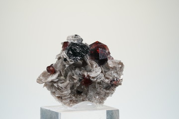 Granat, Blutrot, Stufe mit Turmalin, Himalaya, Edelstein 