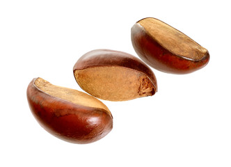 Three  nuts Vitellaria paradoxa , commonly known as shea tree or
