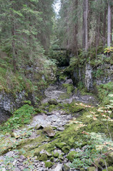 schwarzwasserbach im kleinwalsertal, trockenes bachbett