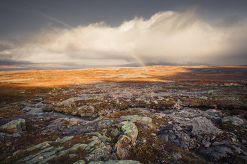 Landscape of autumnal Sylan mountains in Norway.