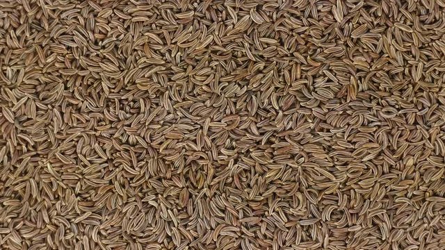 caraway seeds in closeup view rotating