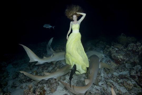 Night dance with sharks. Young beautiful woman in yellow dress dancing underwater with Tawny Nurse Sharks (Nebrius ferrugineus), night shooting in Indian Ocean on Maldives