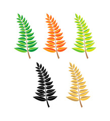 Set of vector branches. hand drawn tree branches with green, orange leaves isolated on white background. design element leaves decoration. logo icon