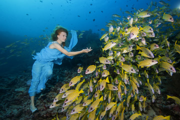  Young beautiful woman in blue dress with school of fish Bluestripe Snapper (Lutjanus kasmira) in...