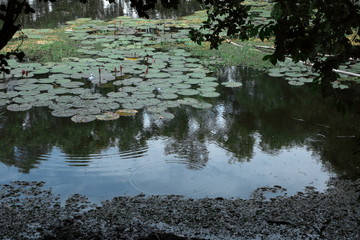 カンボジア　キリングフィールド　ポルポト　クメールルージュ