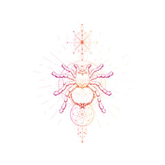 Vector illustration with hand drawn spider and Sacred geometric symbol on white background. Abstract mystic sign.