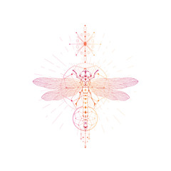 Vector illustration with hand drawn dragonfly and Sacred geometric symbol on white background. Abstract mystic sign.
