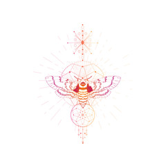 Fototapeta premium Vector illustration with hand drawn dead head moth and Sacred geometric symbol on white background. Abstract mystic sign. 