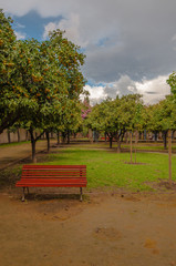 Fototapeta premium bench in the park
