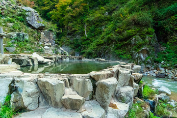 地獄谷野猿公園の秋