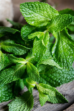 Fresh mint leaves close up