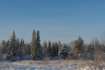 Frosty day