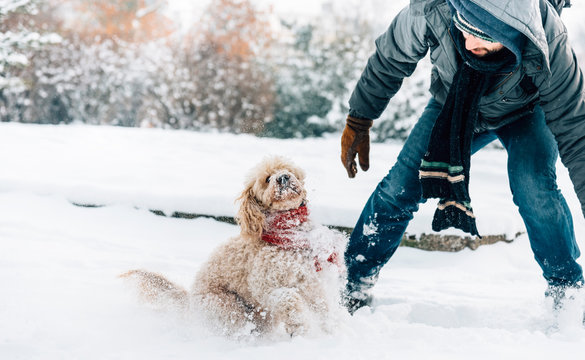 Snowball fight fun with pet and his owner in the snow. Winter holiday emotion.