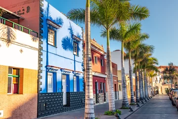 Fotobehang Colourful houses, palm on street Puerto de la Cruz town Tenerife Canary Islands © Kotangens