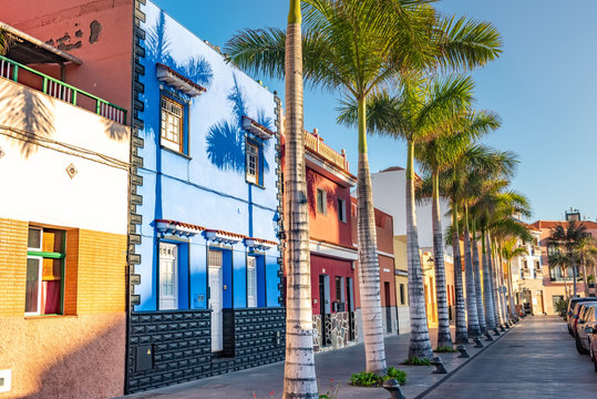 Colourful Houses, Palm On Street Puerto De La Cruz Town Tenerife Canary Islands