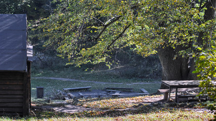 Camping place under a Tilia tree on a sunny autumn day