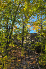 A hiking trail leading up the hill
