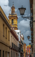 Fototapeta na wymiar street in seville