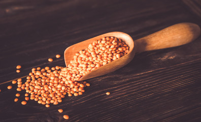 Red lentils in a scoop