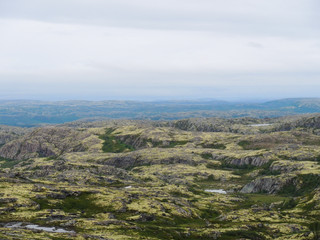 Northern tundra landscape
