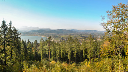 Panoramic shot of a forest glade in the mountains
