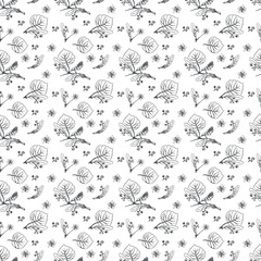 Floral seamless pattern with linden flowers. Hand drawn eco design for fabric and wrap paper, packaging- tea, oil, cosmetics etc.