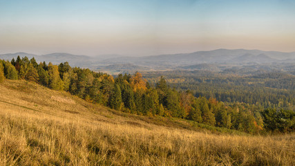 Hillside covered with autumn forest