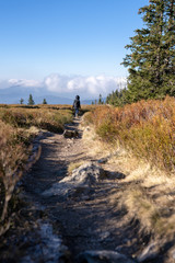 Hiking in the upper bavarian forest in the near of the Osser, germany.