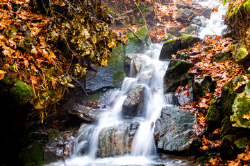 Stream with trees and rocks in mountain in Autumn.