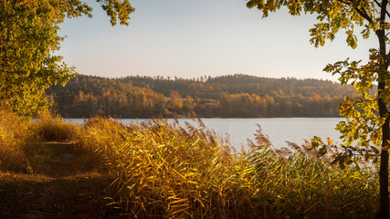 A path leading along the lake at sunrise