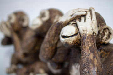 See no Evil Monkey Close up from the concept of see no evil, hear no evil and speak no evil.