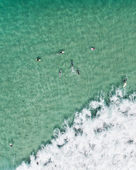 Drone Photo of Surfers Paddling Out in Aqua Marine Blue Ocean Water