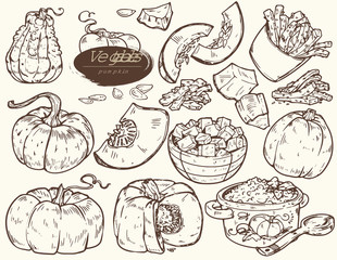 Set of vector illustrations. Vegetables - pumpkin. Hand drawn. Vintage style