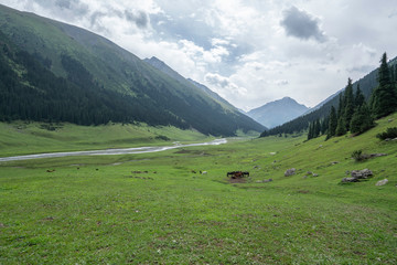 Fototapeta na wymiar Horses waiting in a valley between Ala Kul and Karakol in Kyrgyzstan