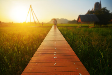 Fototapeta premium A wooden bridge in the rice field and sunset.