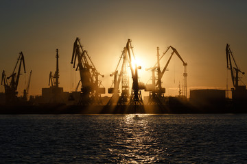 Obraz premium Many big cranes silhouette in the port at golden light of sunrise reflected in water. Berdiansk, Ukraine