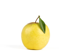 apples isolated on white background