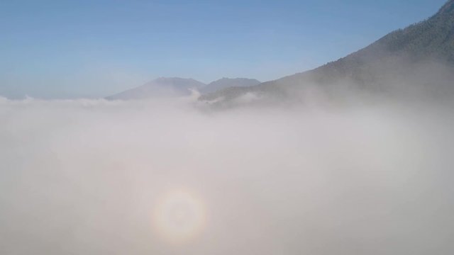 aerial view tropical forest covered clouds with lush vegetation and mountains, java island. tropical landscape, rainforest in mountainous area Indonesia. green, lush vegetation. aerial footage
