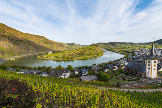 Germany, Rhineland-Palatinate, Vineyards above Bremm on the Moselle river