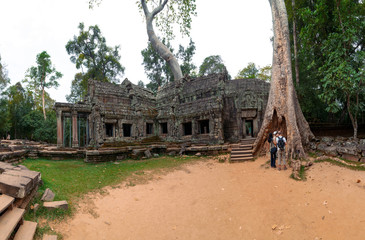Fototapeta premium Trees raised on the ruins of the temple Ta Prohm,temple at Angkor Wat complex, Angkor Wat Archaeological Park in Siem Reap, Cambodia UNESCO World Heritage Site