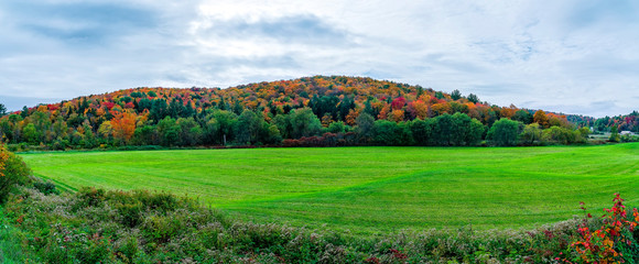 Green Pastures in New England © Mark